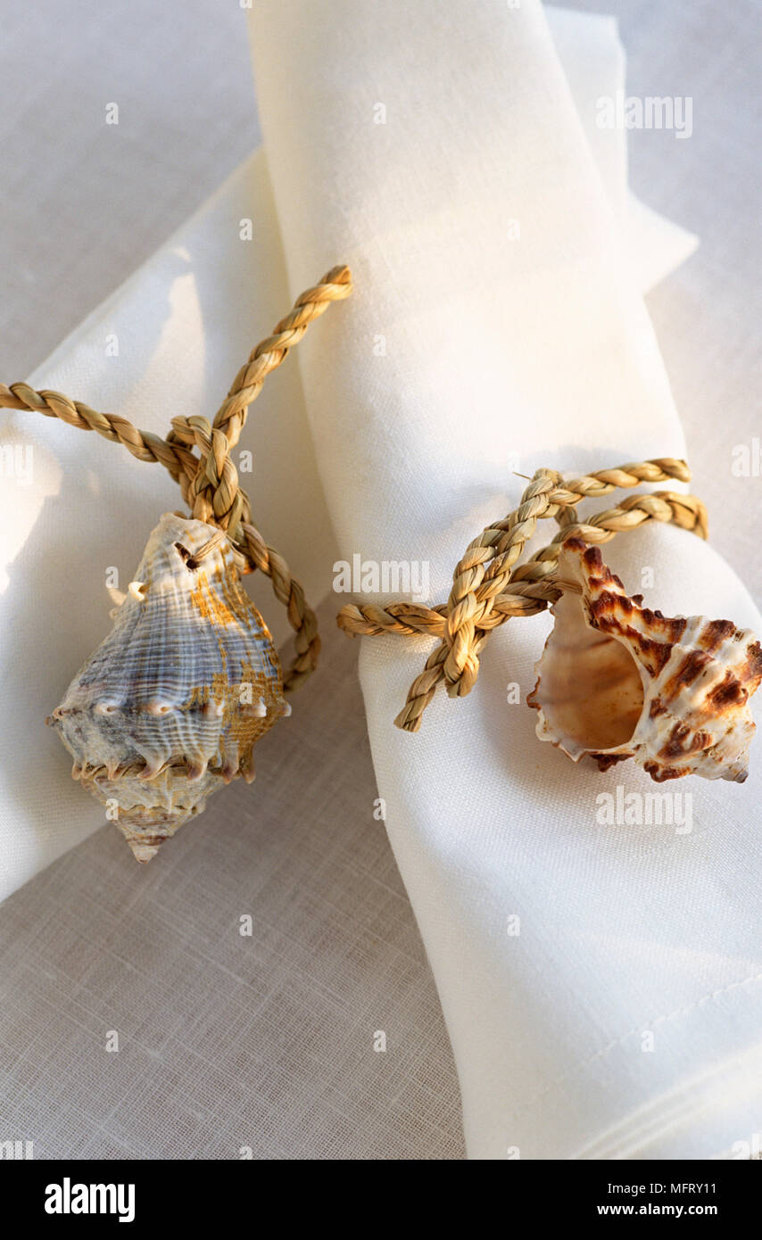 Shells On Rope Thin shells hi-res stock photography and images - Alamy