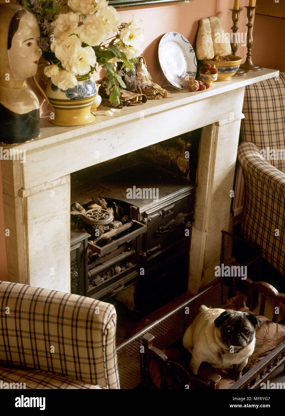 Country Fireplace Wood Burning Stove Dog Interiors Detail