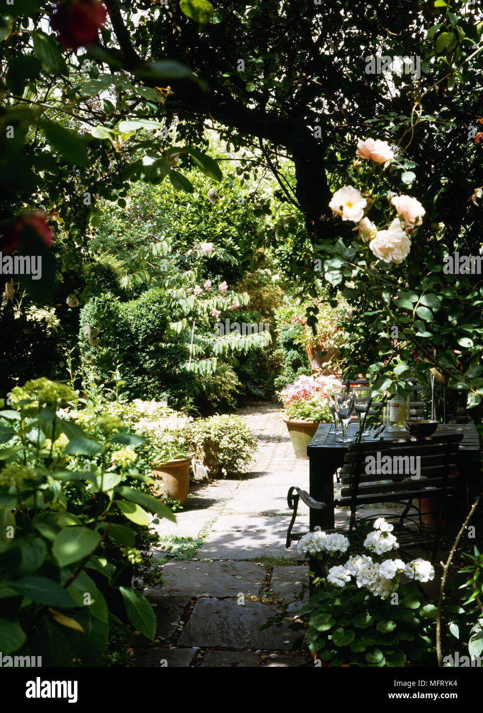 Garden Detail Paved Patio Area Wooden Table Chairs Terracotta Pots