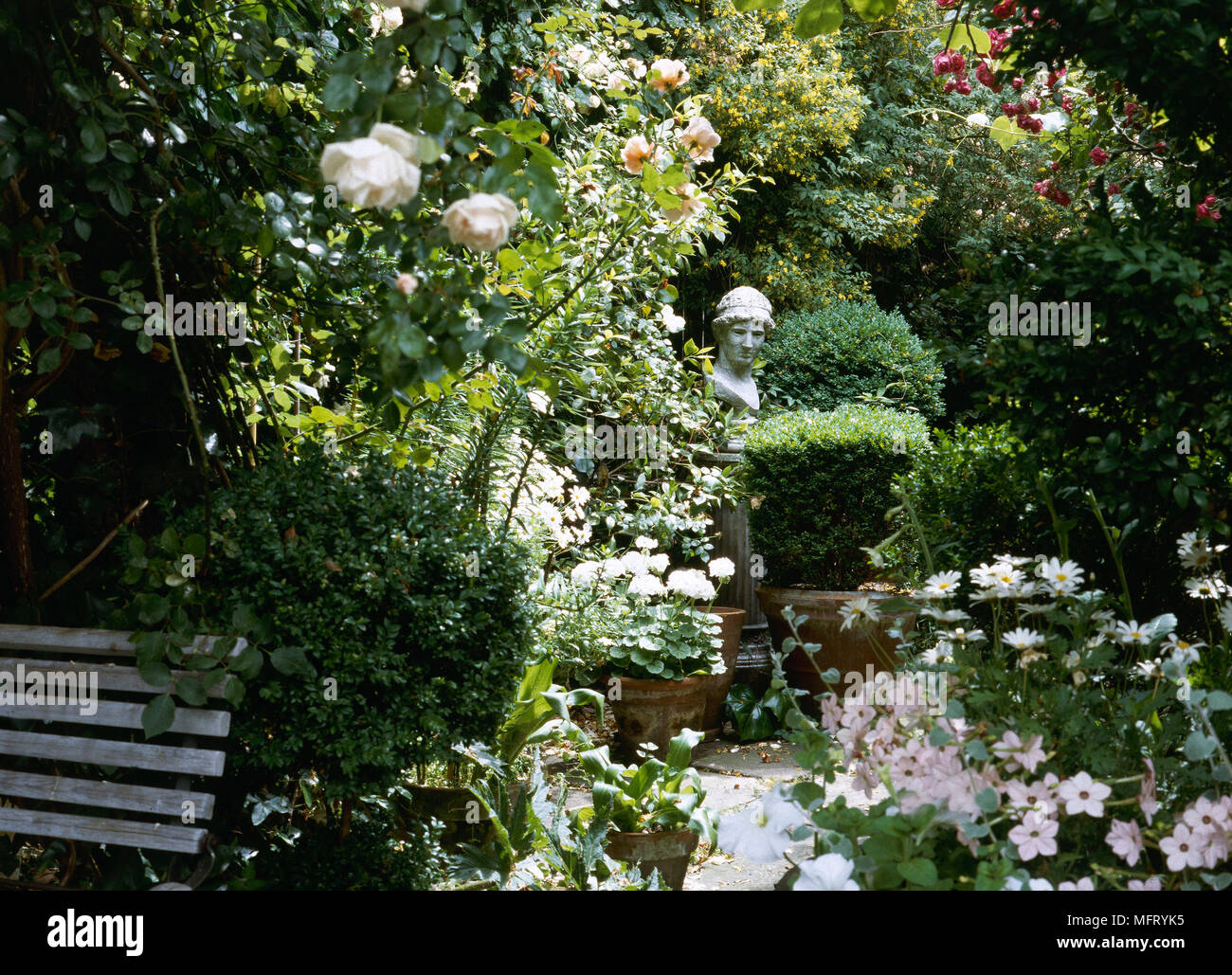 Garden detail stone figure head statue set in shrubbery rose bush  Gardens secluded private patios shrubs trees flowers stautes features busts shrubs Stock Photo