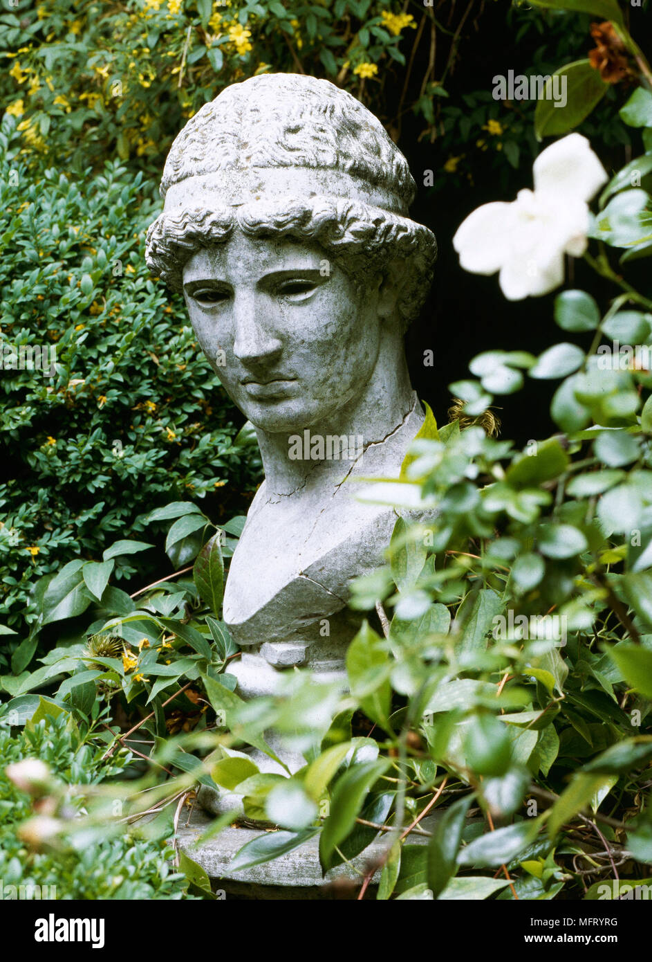 Stone figure head statue set in shrubbery  stautes features busts Stock Photo