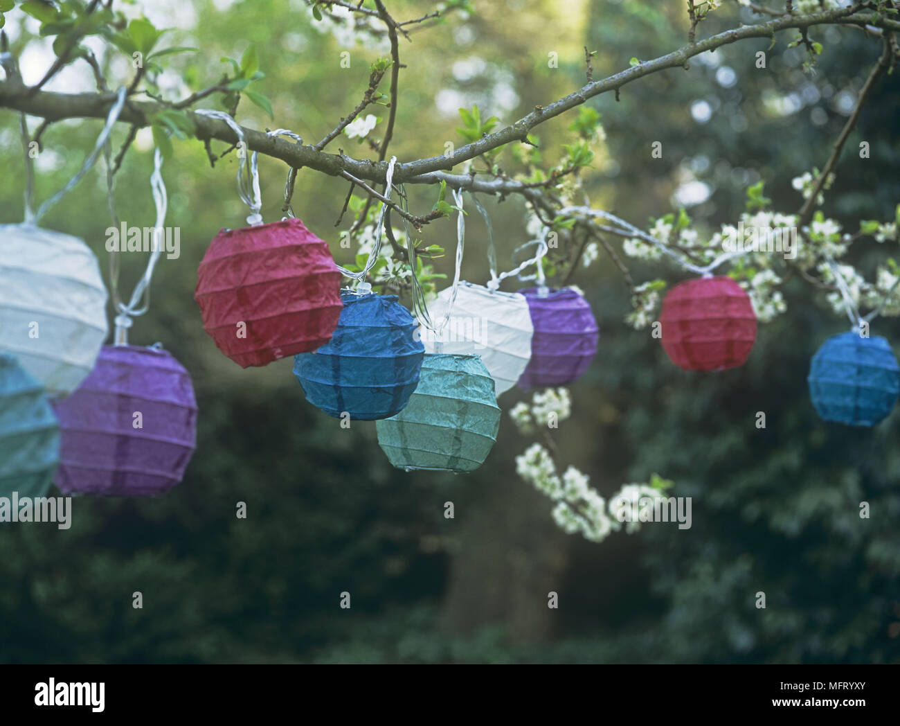 bright paper lanterns