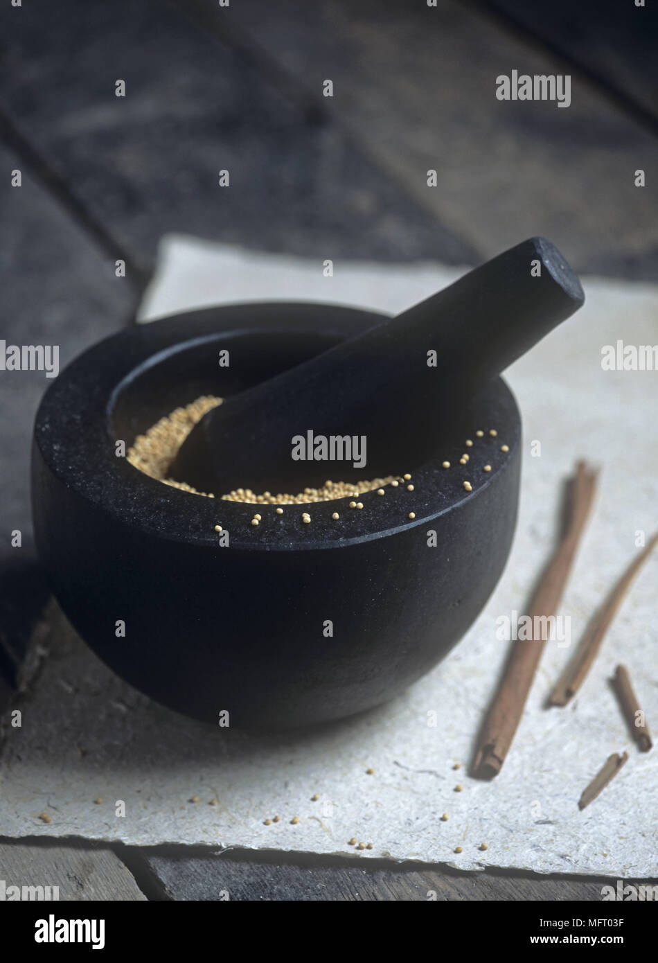 Black stone mortar and pestle with coriander seeds and cinnamon stick Stock Photo