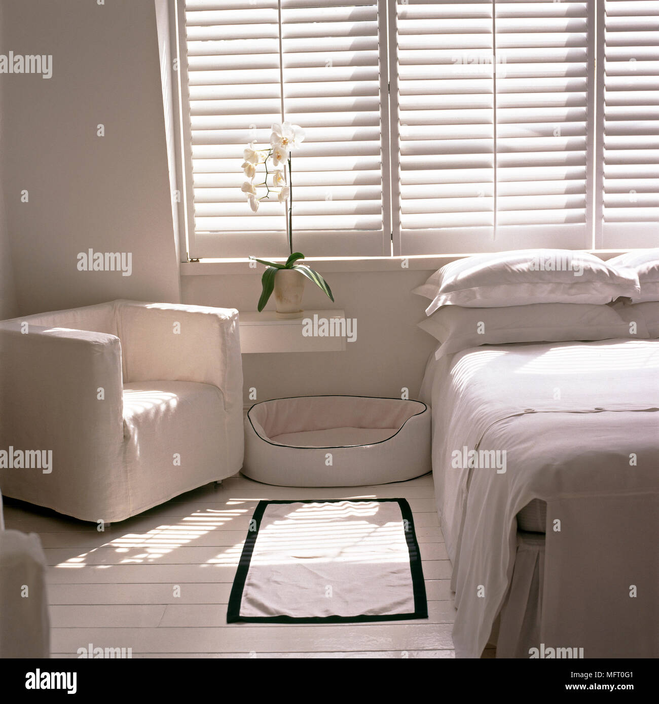 Modern bedroom with bed, pet bed, and upholstered armchair under sunny