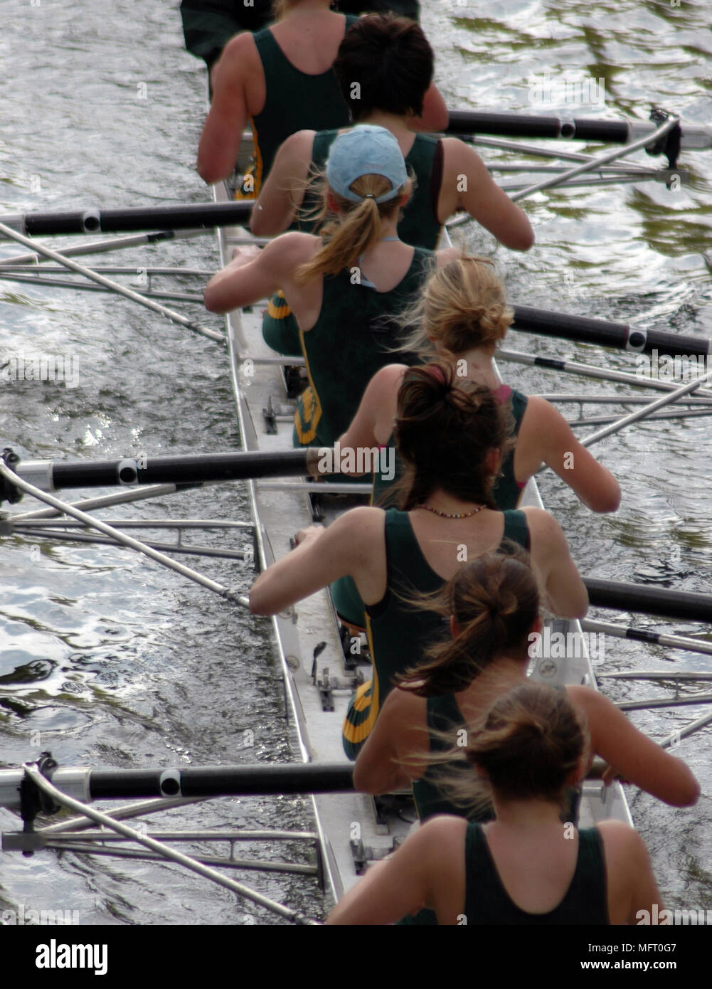 Women's Eight Rowing Stock Photo