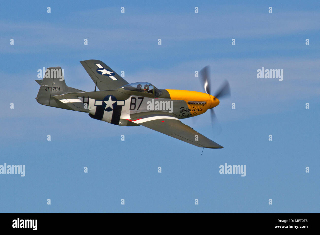North American P51D Mustang, 'Ferocious Frankie' taking part in a display at Fort George, Scotland. This aircraft has appeared in 'Memphis Belle'. Stock Photo