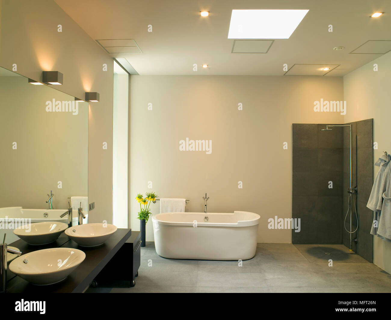 Freestanding bathtub in contemporary bathroom Stock Photo Alamy
