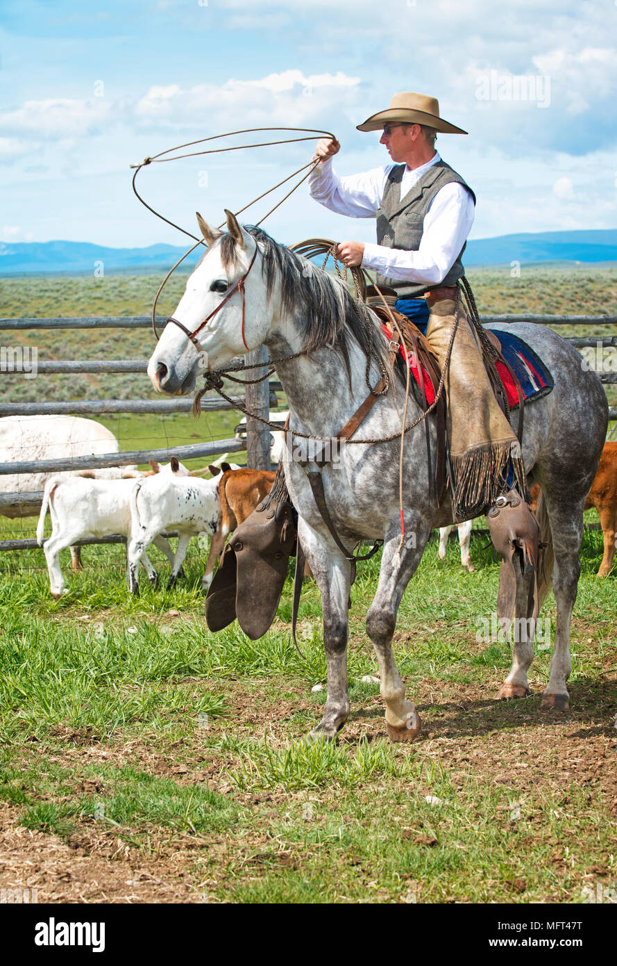 On Horseback a Montana Cowboy is twirling a rope USA Stock Photo