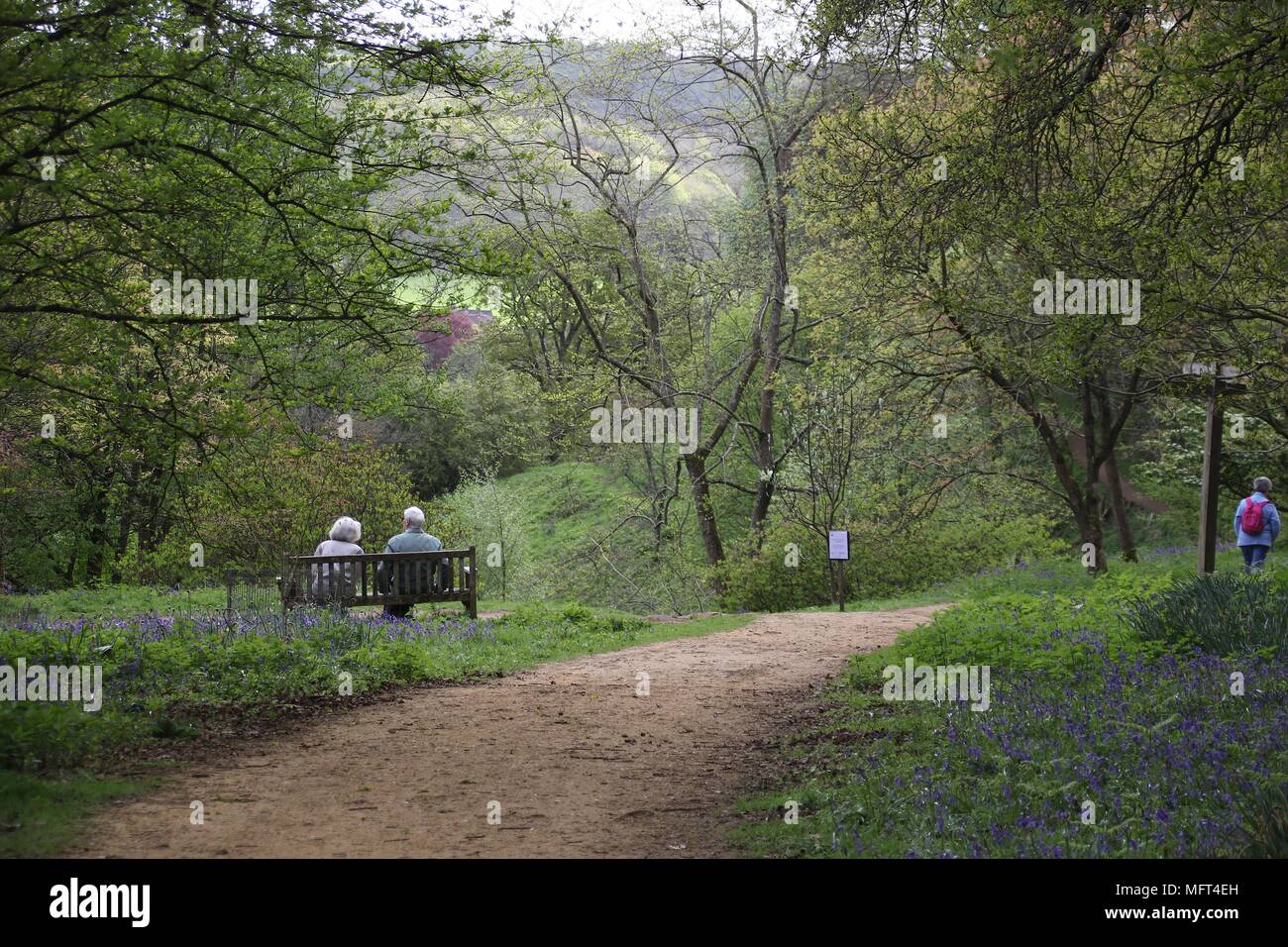Elderly couple rear view hi-res stock photography and images - Alamy