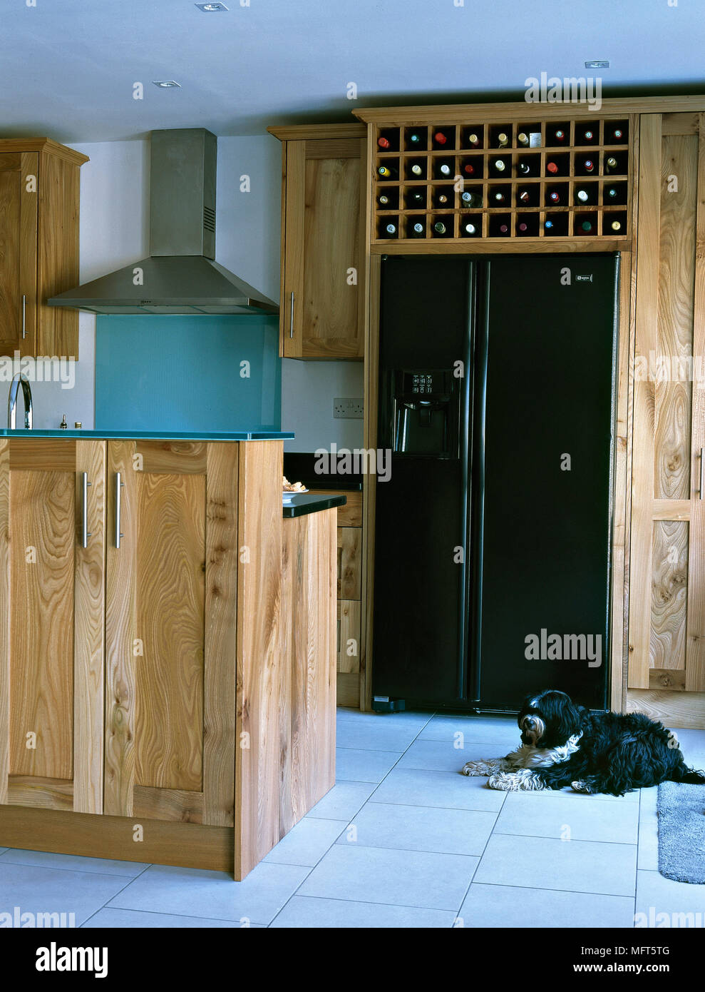 Dog sitting on tiled floor of pine fitted kitchen Stock Photo - Alamy