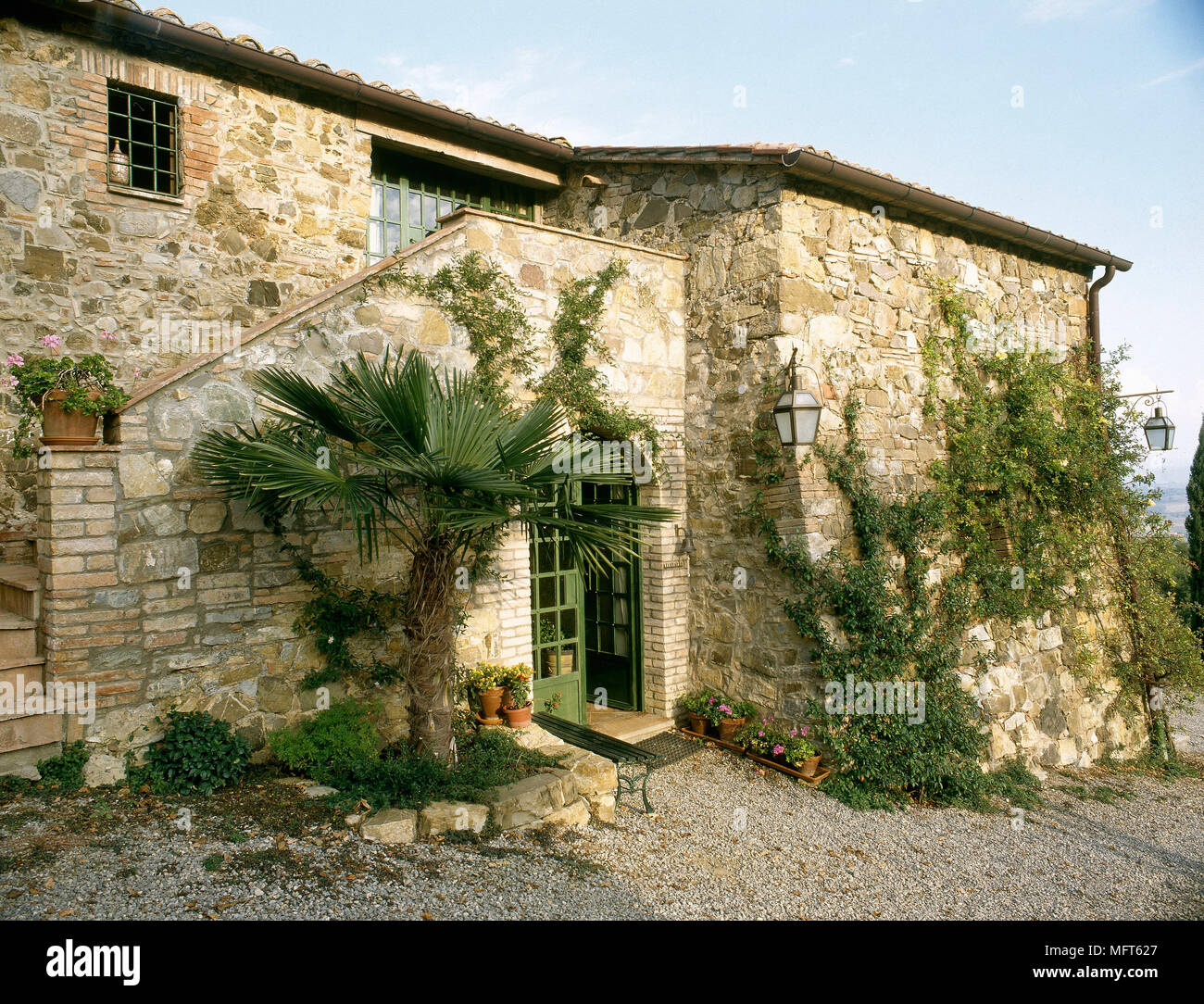 Exterior of rustic Italian villa with climbing plants, Stock Photo