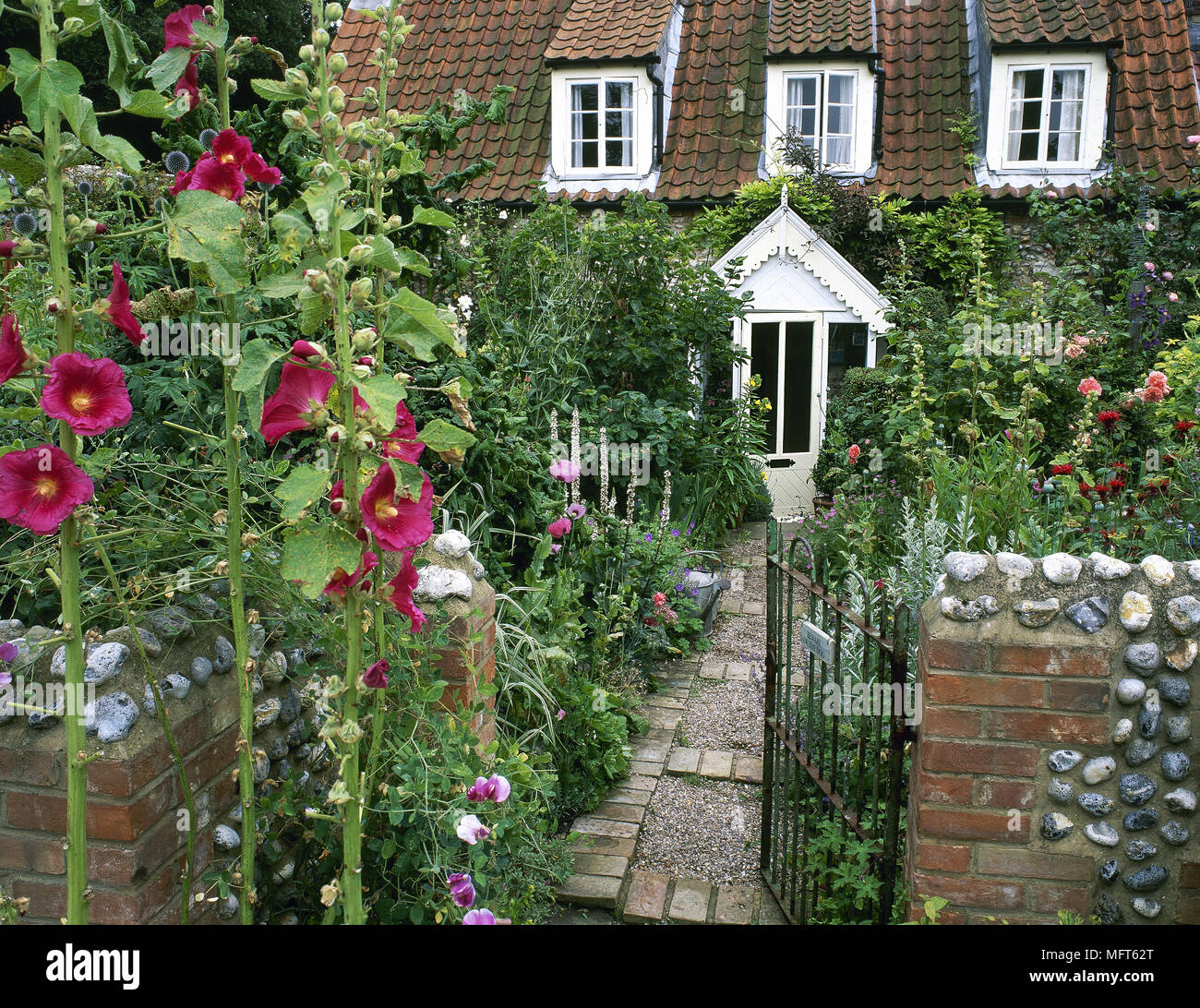 Traditionally English country cottage with white porch, pink hollyhocks by garden gate Stock Photo