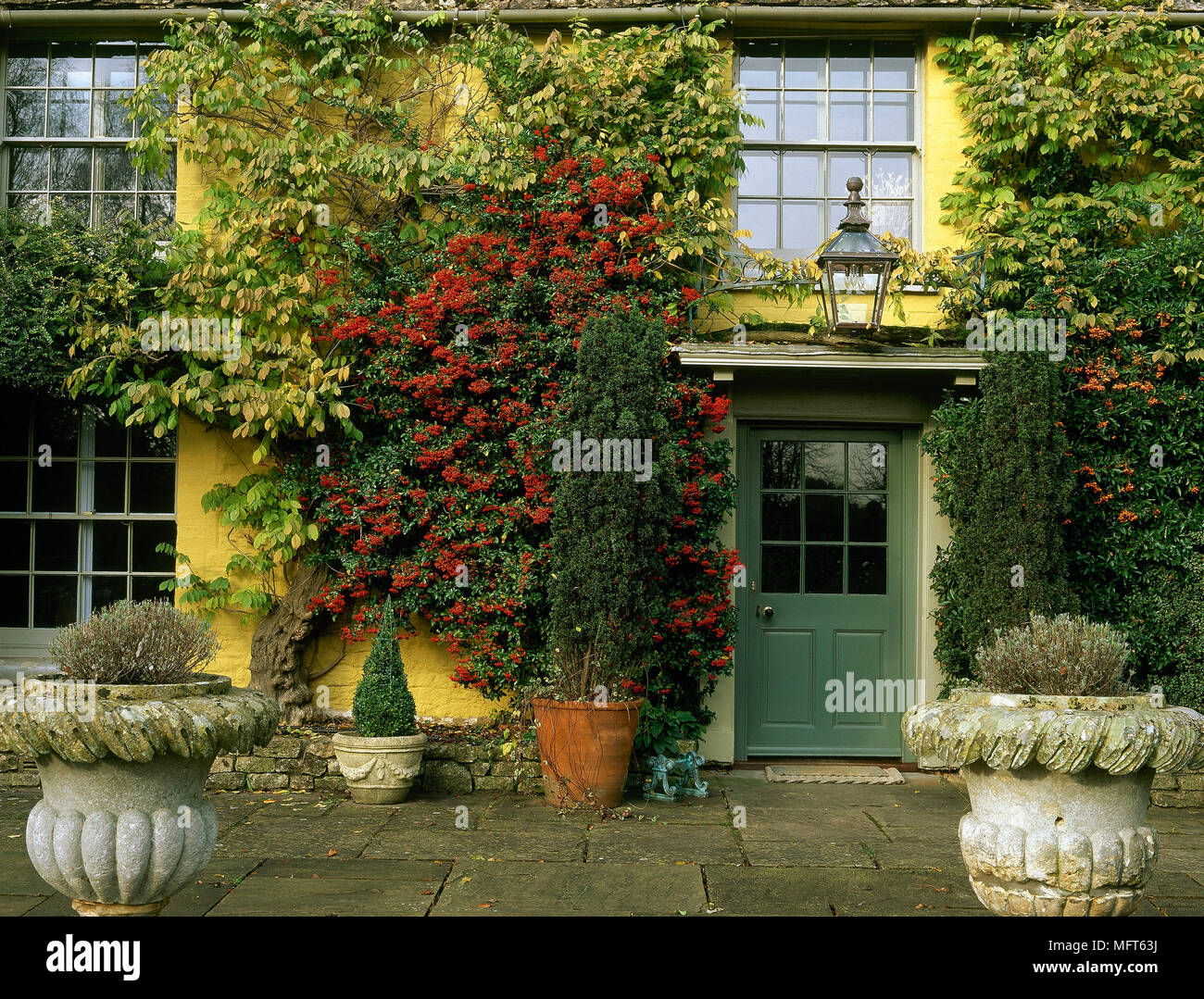 Exterior of yellow painted villa with red flowering climbing plant, Stock Photo