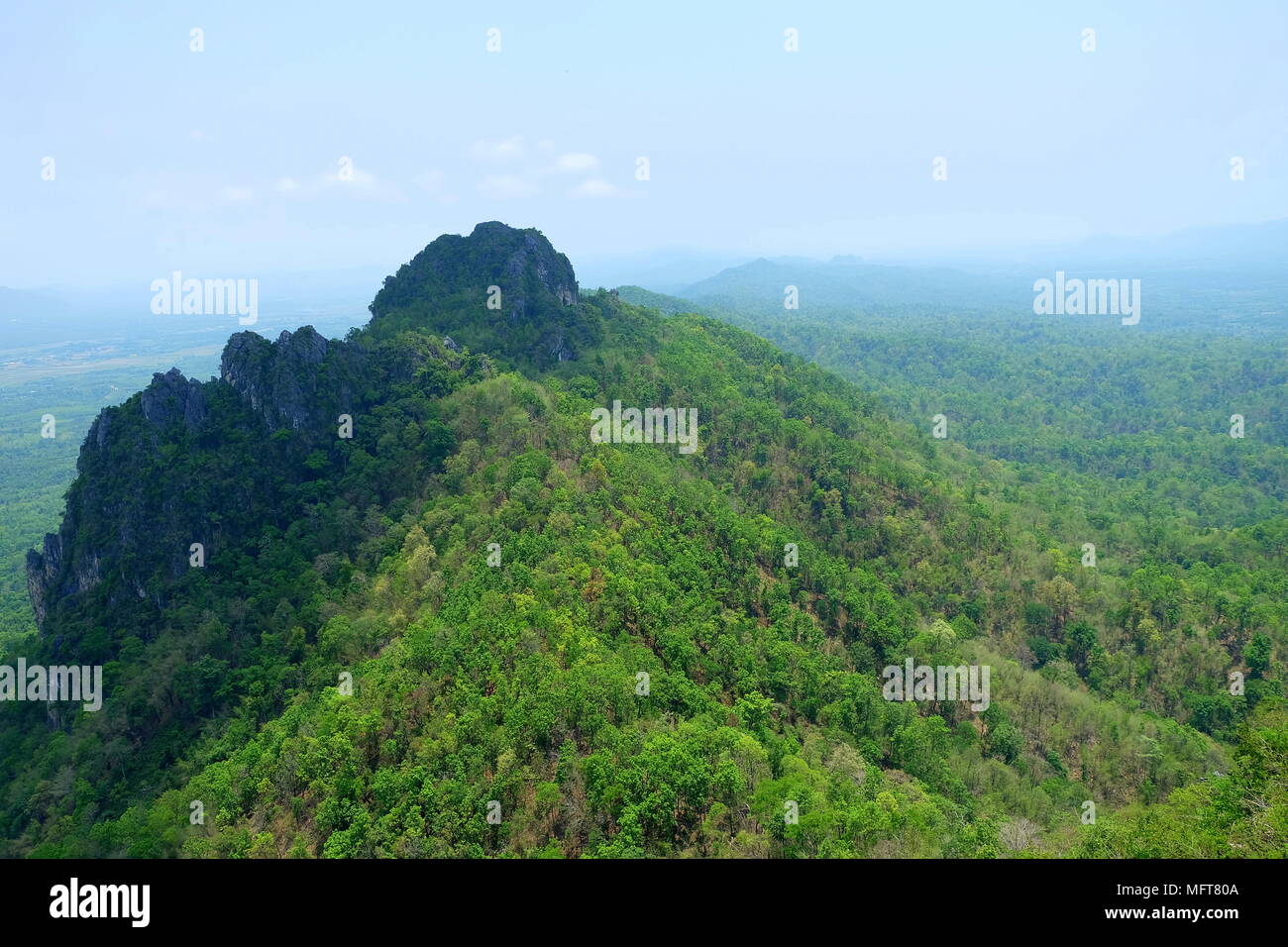 Scenery Top View of Green Forest Mountain Stock Photo - Alamy