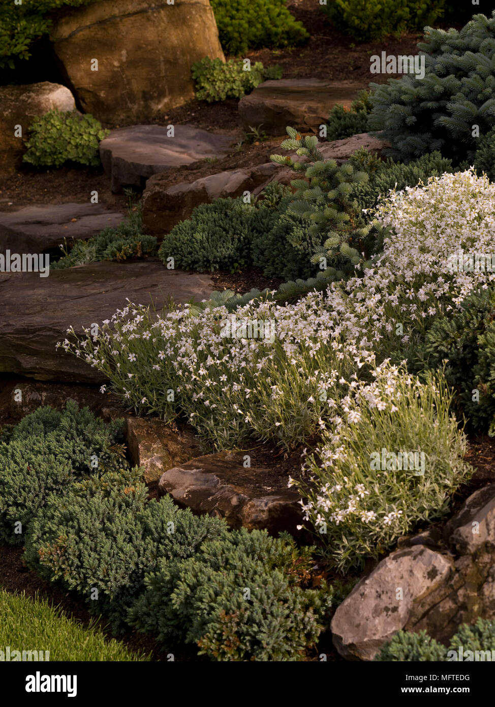 Rockery Garden High Resolution Stock Photography and Images - Alamy