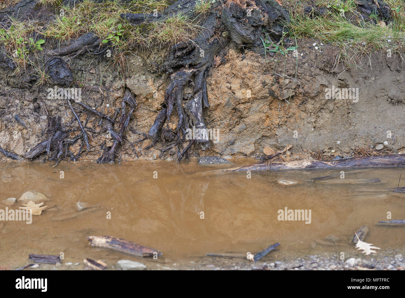Mud pollution hi-res stock photography and images - Alamy