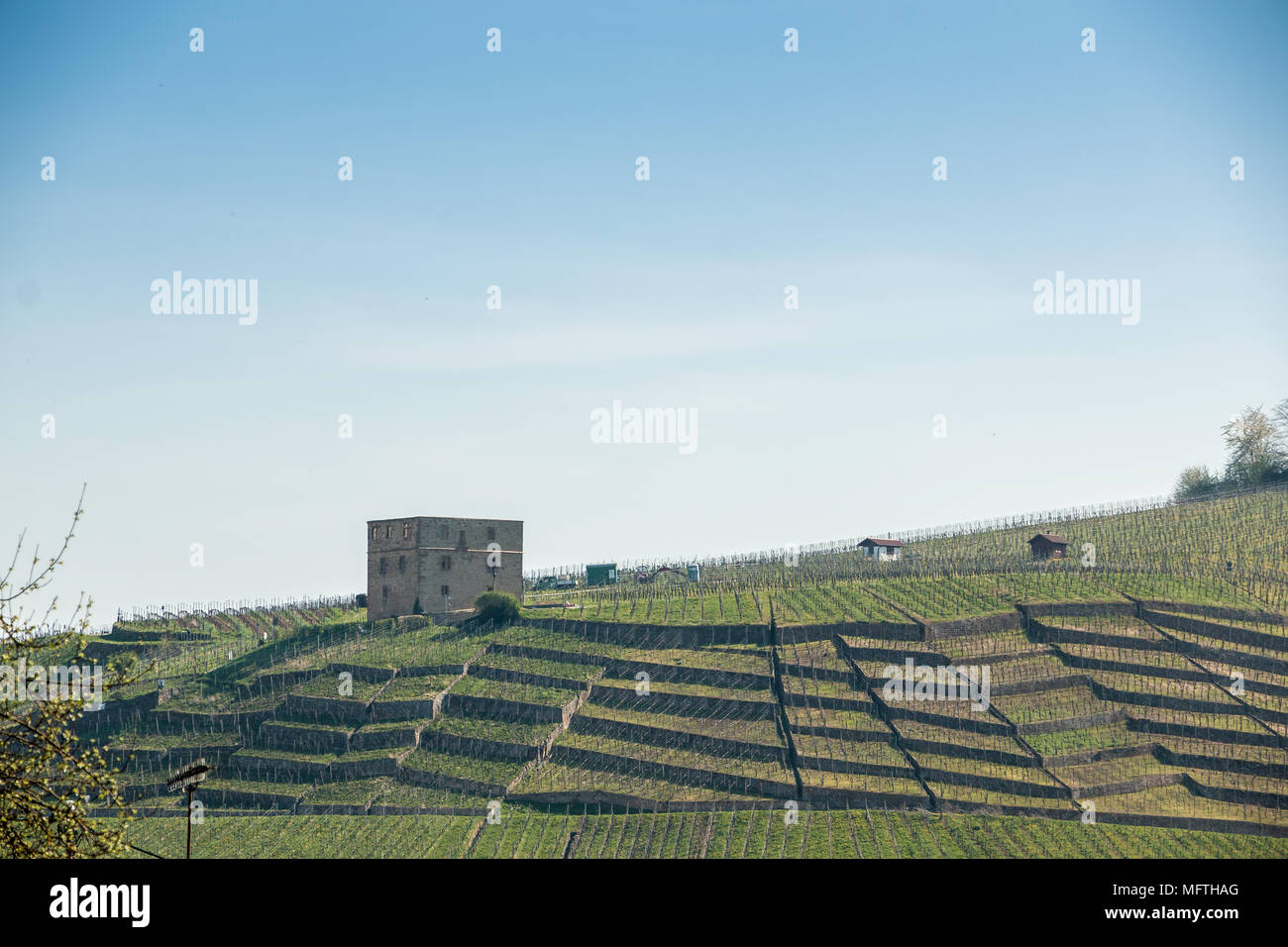 Vineyards and a little castle near the village Stock Photo