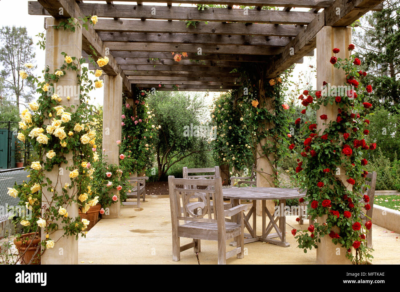 Ellsworth Garden, table and chairs on covered patio with climbing roses Stock Photo