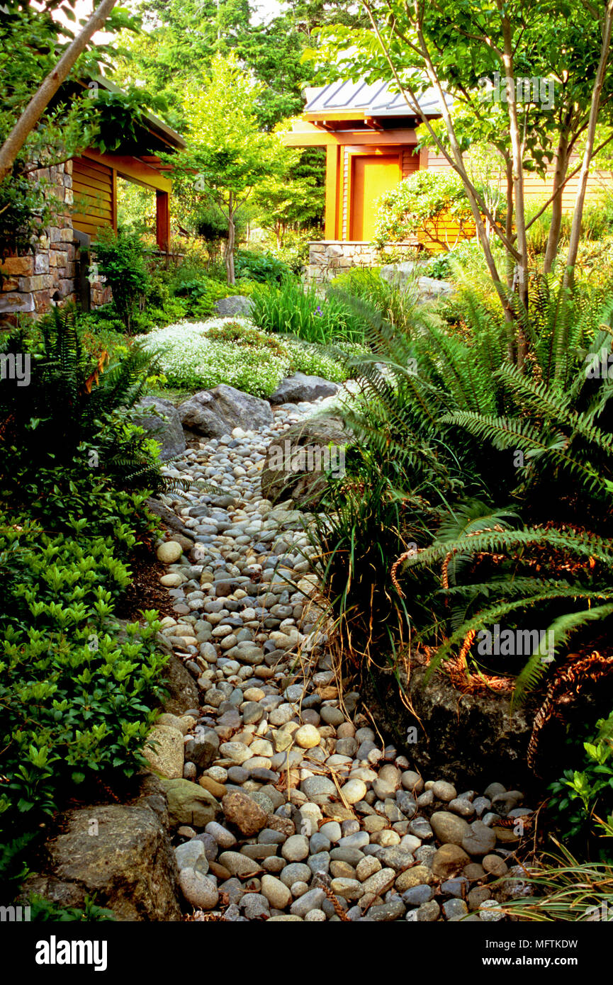 Dry creek bed amidst plantings of Stewartis pseudocamellia, Polystichum munitum, Carex and Pachysandra terminalis Stock Photo