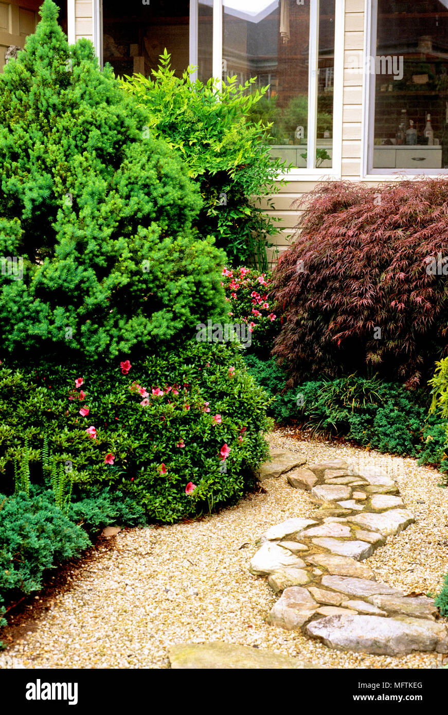 Stone path amidst plantings of Acer palmatum dissectum 'Ever Red', Juniperus horizontalis 'Wiltonii', Picea glauce 'Conica' and Rhododendron satsuki ' Stock Photo