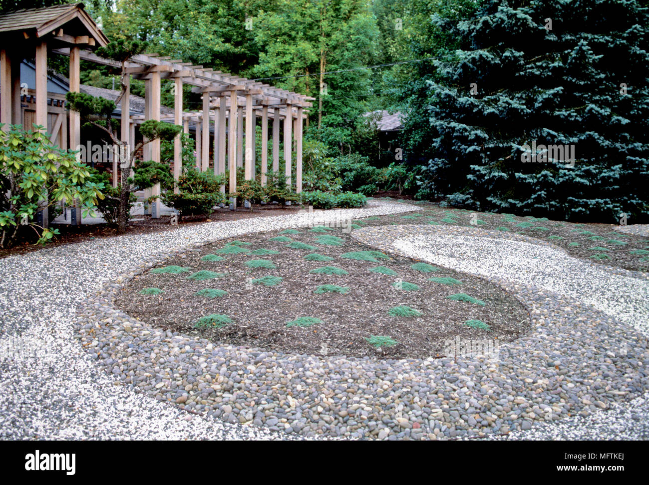 Ground cover plants hires stock photography and images Alamy