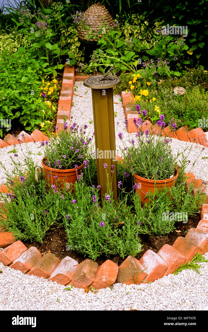 Sundial in garden surrounded by planting of Lavandula Stock Photo - Alamy