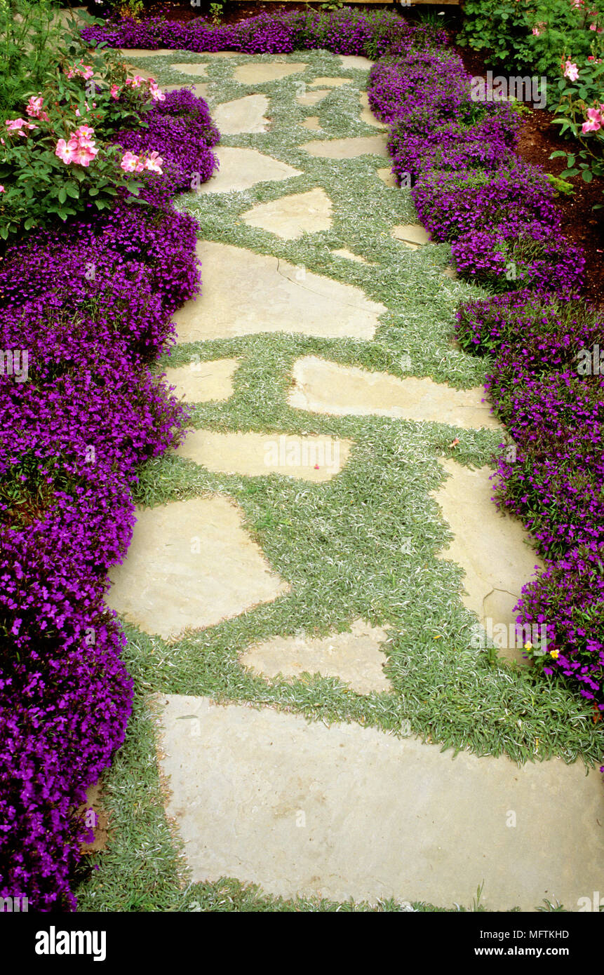 Crazy paving stones hi-res stock photography and images - Alamy