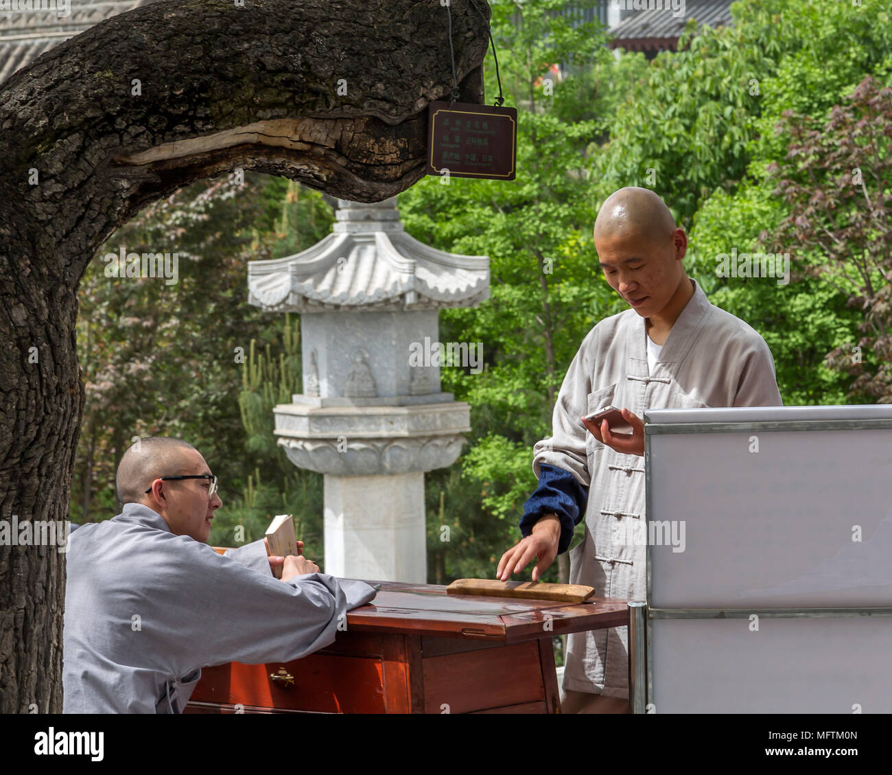 Two monks, one holding a book the other looking at a mobile phone stand in the serene surroundings of Giant Wild Goose Pagoda, Xi'an, China. Stock Photo