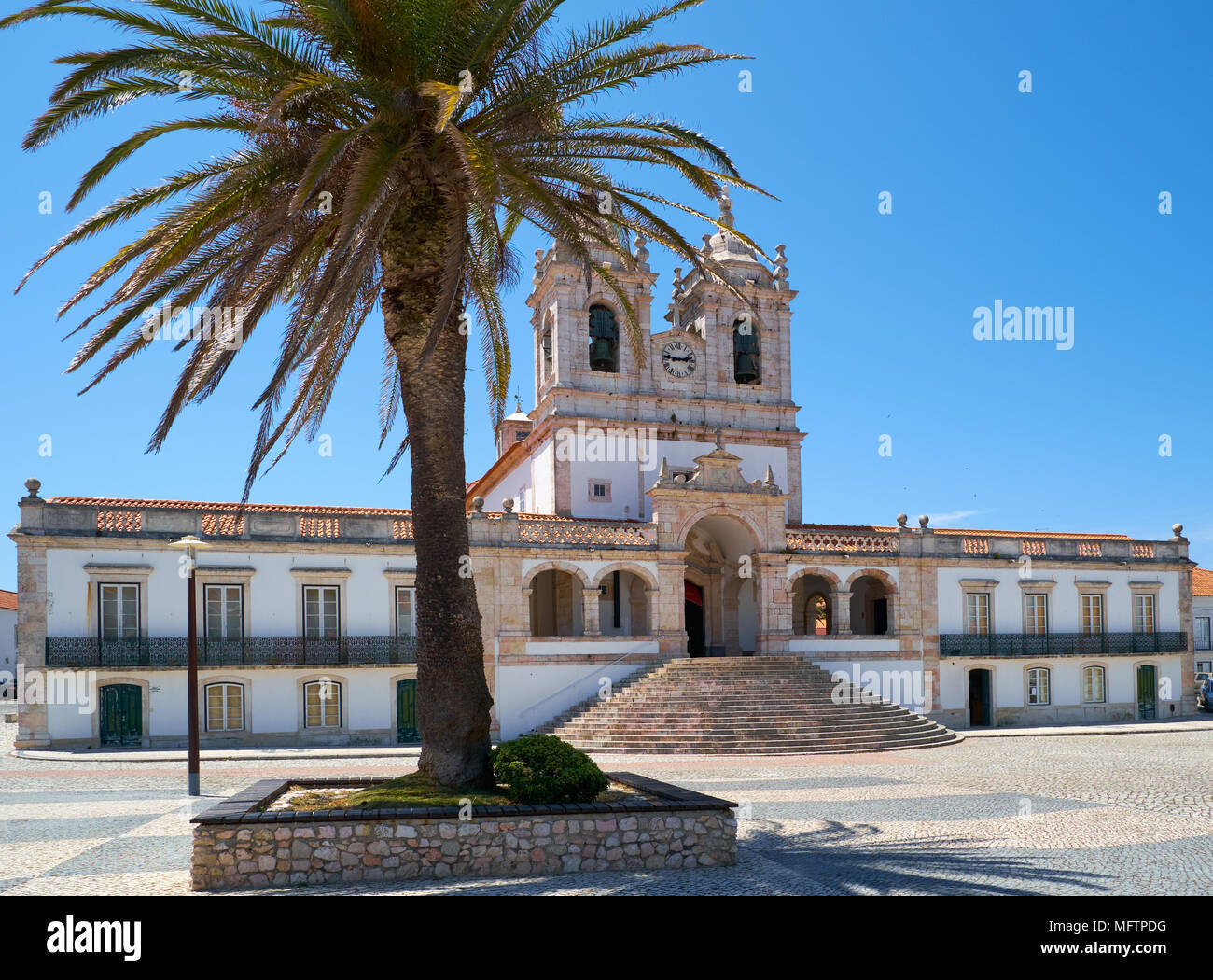 The view of the church of Nossa Senhora da Nazare throughout the central square with the big palm tree on the foreground. Nazare. Portugal Stock Photo