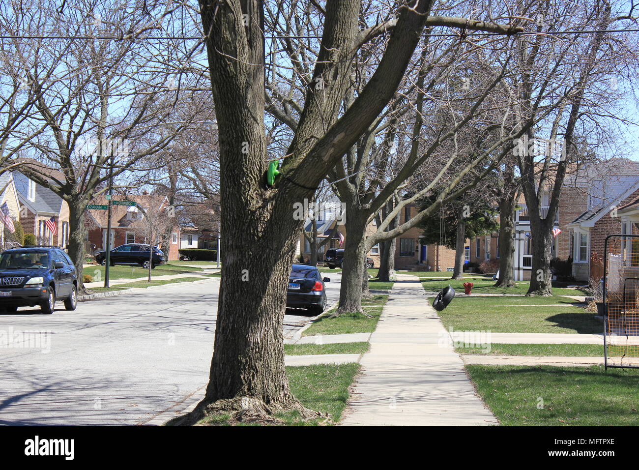 Residential streetscape in Chicago, Illinois Stock Photo Alamy