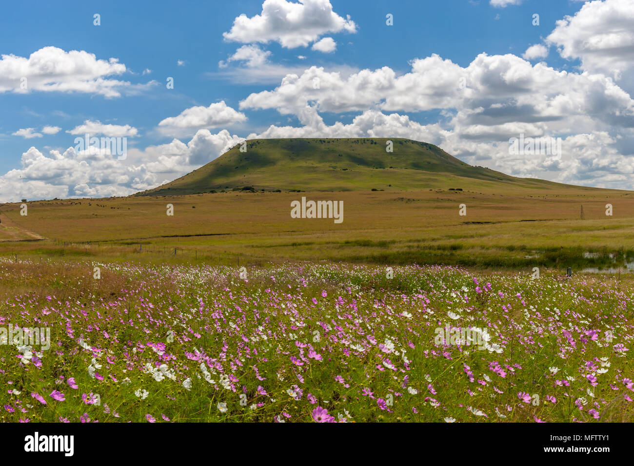Drakensberg Mountain Range, Kwazulu Natal, South Africa Stock Photo - Alamy