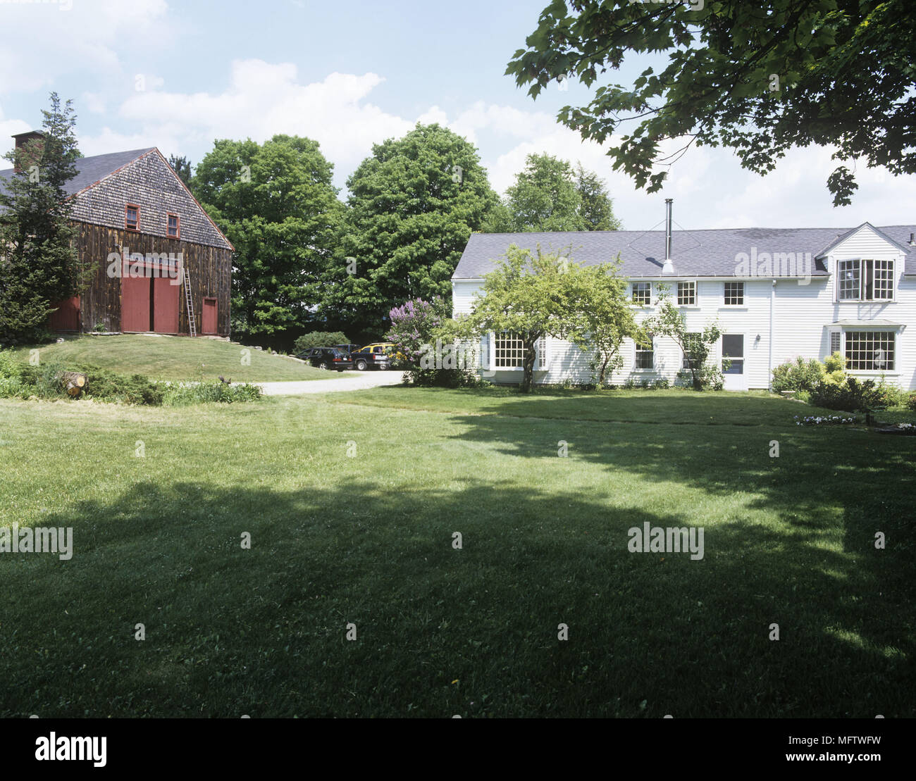 A traditional wood panelled farmhouse painted white and a barn with red ...
