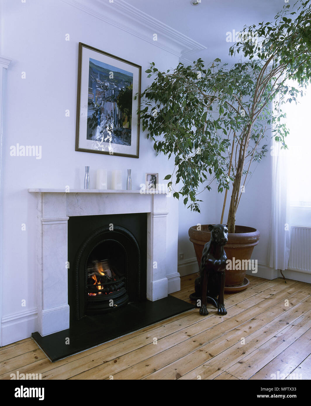 Marble Fireplace With Fire Lit Next To Fig Tree In Pot Stock Photo