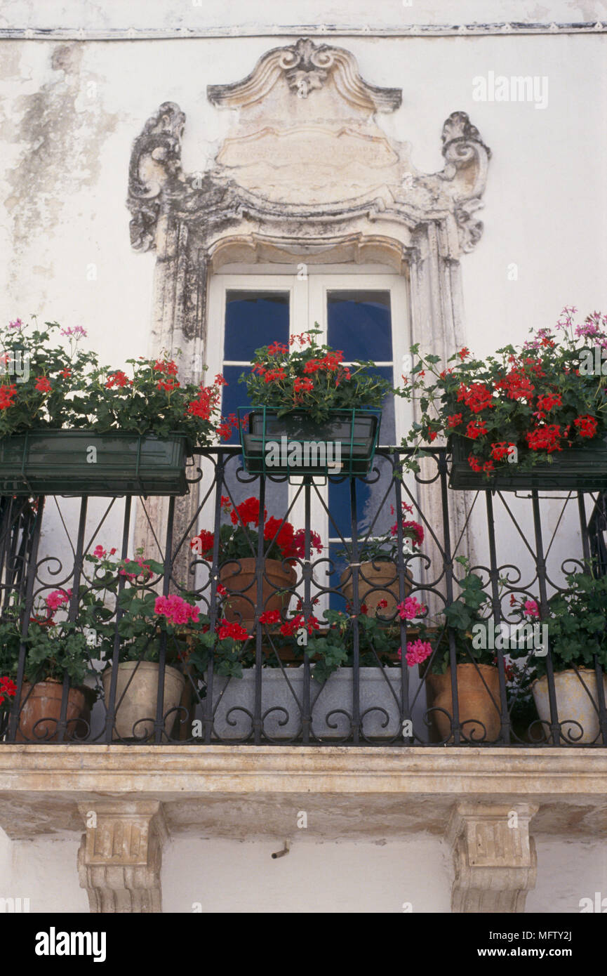 A detail of the exterior of a French window with balcony, ornate stone work surround, wrought iron railings bedecked with window boxes, pots, geranium Stock Photo