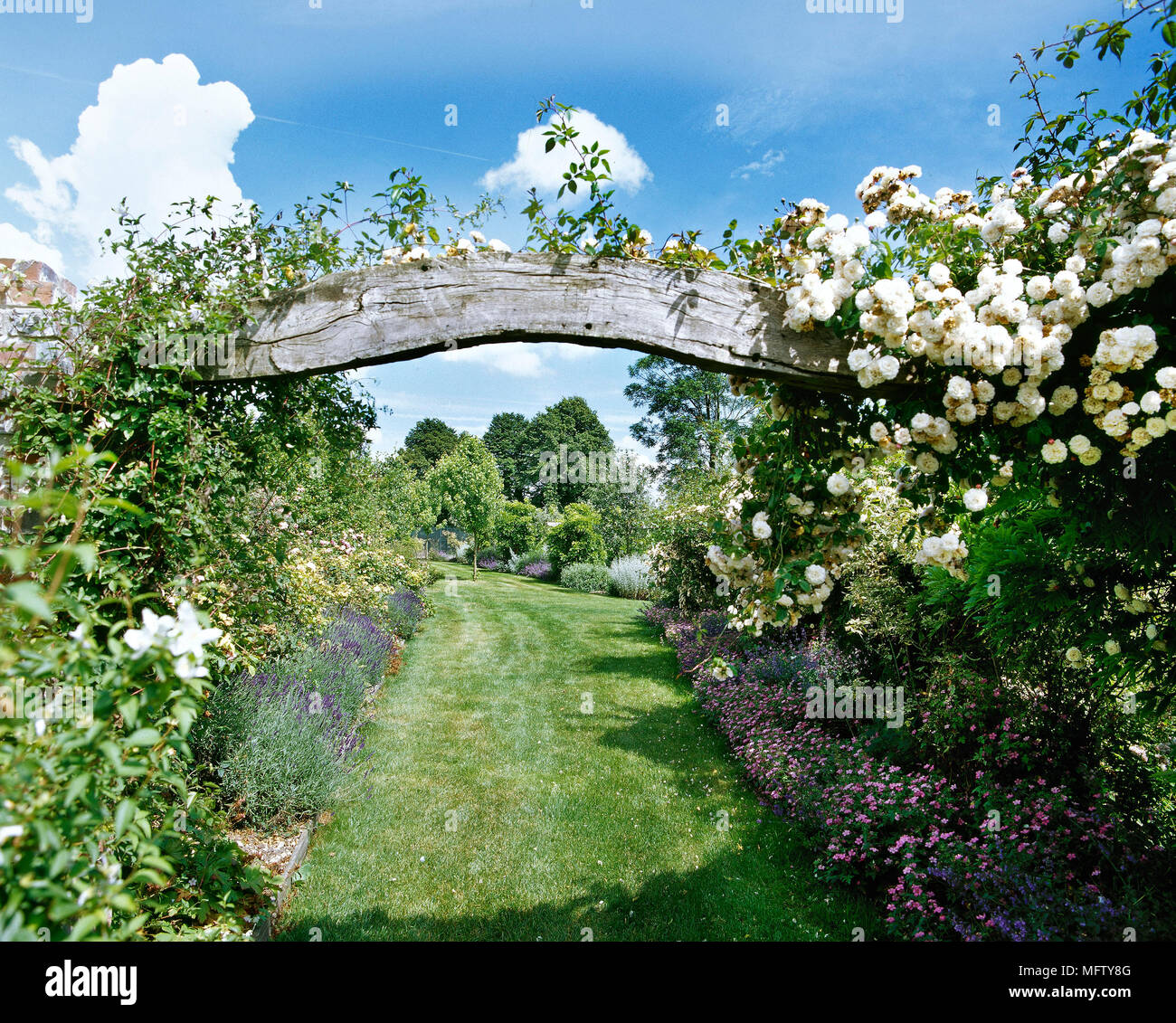 A country garden with an archway of an old wooden beam covered in climbing roses, lawn path and herbaceous border, Stock Photo