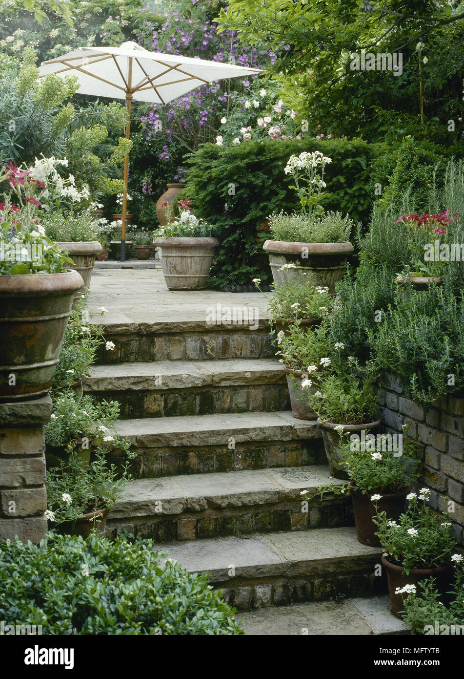 Flower pots in basement garden hires stock photography and images Alamy
