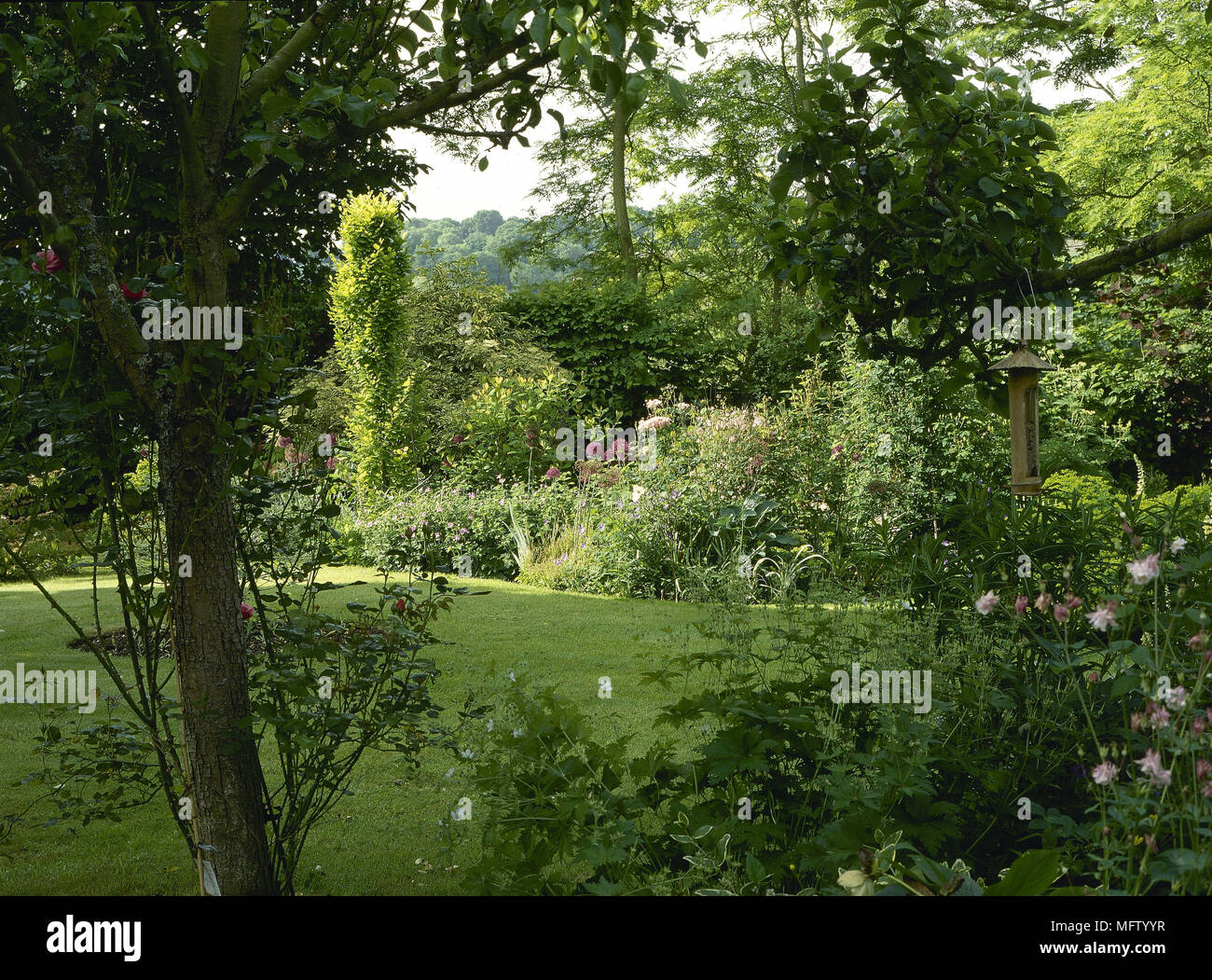 Garden flower borders shrubs trees Gardens borders flowers dense planting Stock Photo Alamy