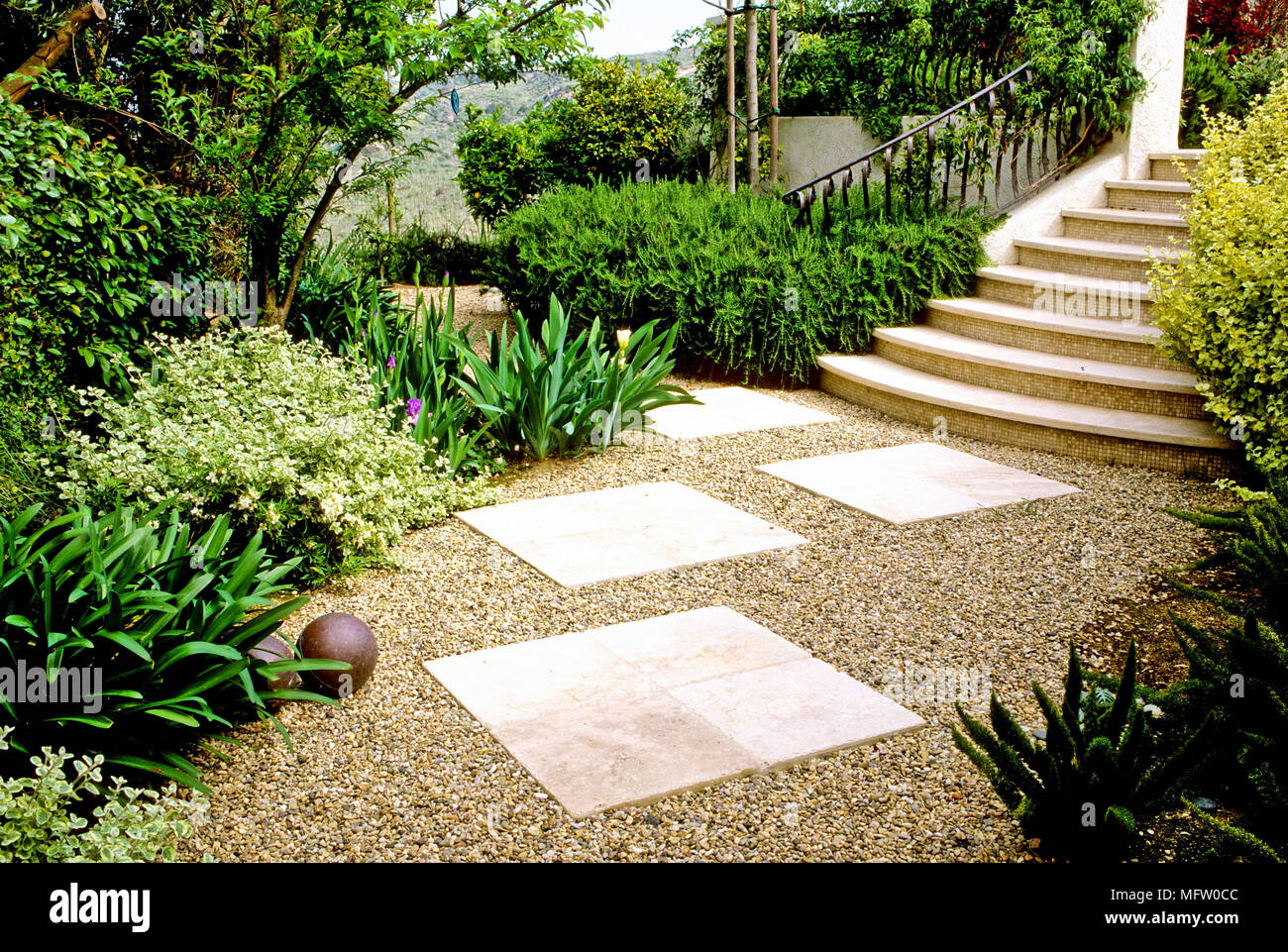 Path and steps with plantings of Agapanthus, Iris, Asparagus, Rosmarinus officinalis and Helichrysum petiolare 'Variegatum' Stock Photo