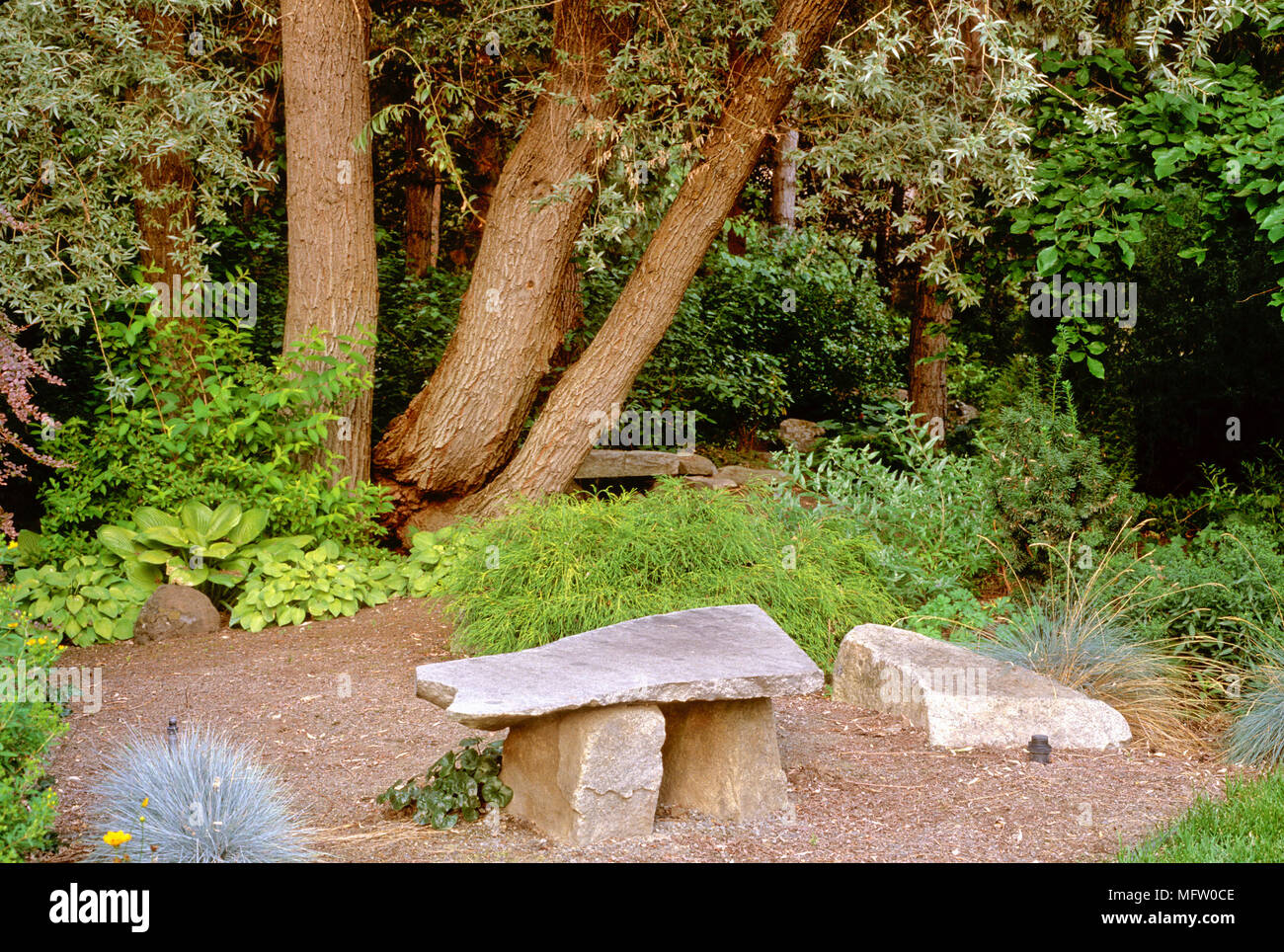 Rustic stone seat amongst planting of Salix, Hosta cv, Festuca cv and Chamaecyparis pisifera cv Stock Photo
