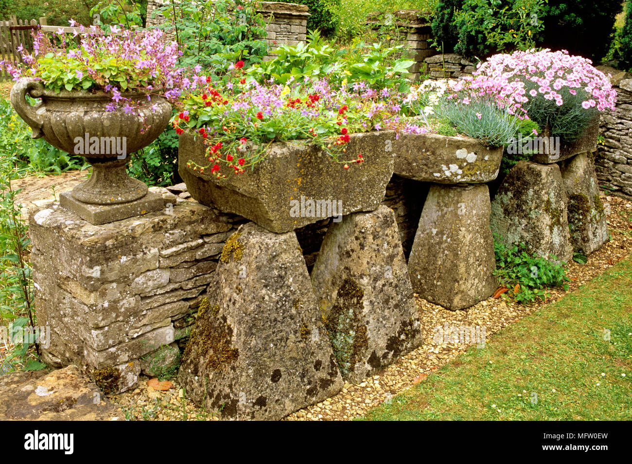 Campanula, Helianthemum and Dianthus grow in stone containers Stock Photo