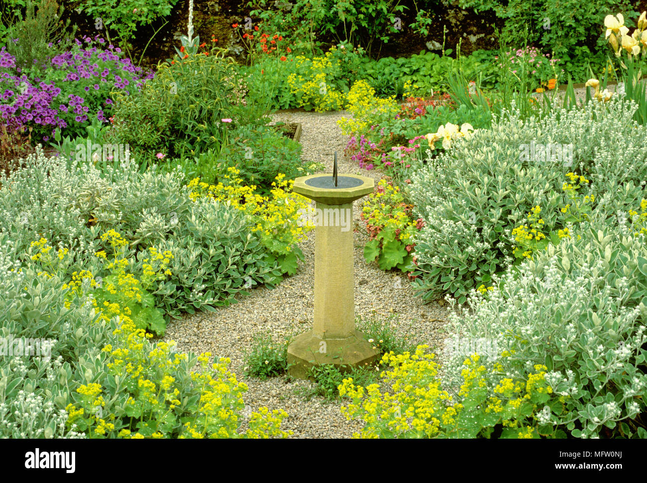 Sundial amidst plantings of Alchemilla mollis, Brachyglottis grey Stock Photo