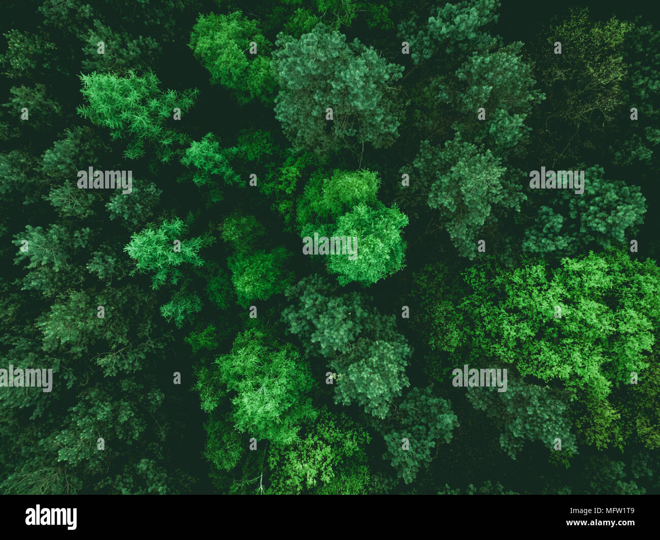 Aerial drone low angle view hi-res stock photography and images - Alamy