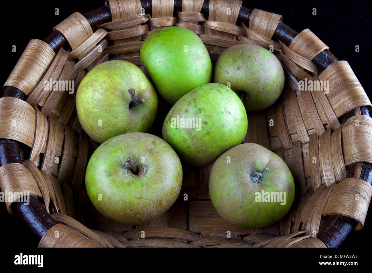 Old German Apple Cultivar 'Graue Herbstrenette' Stock Photo
