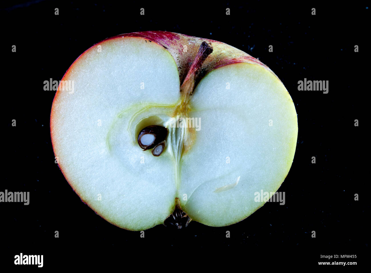 Old German Apple Cultivar 'Rote Sternrenette' Stock Photo