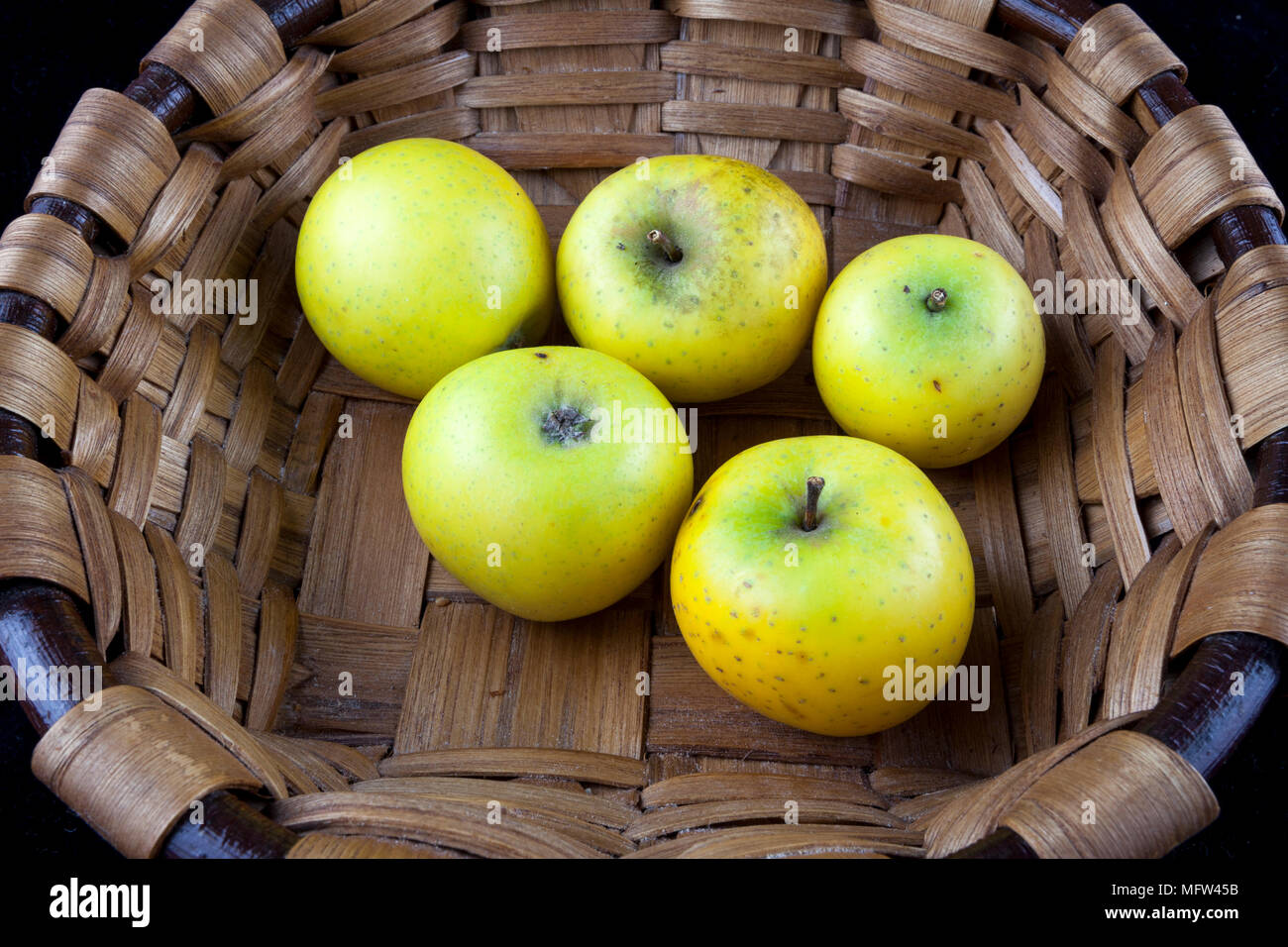 Old German Apple Cultivar 'Ananasrenette' Stock Photo
