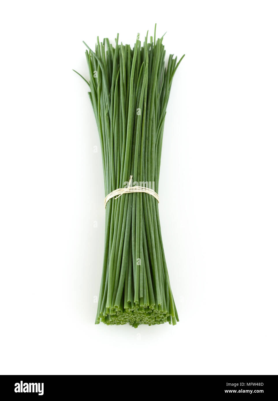 Bunch of chives on white background Stock Photo - Alamy