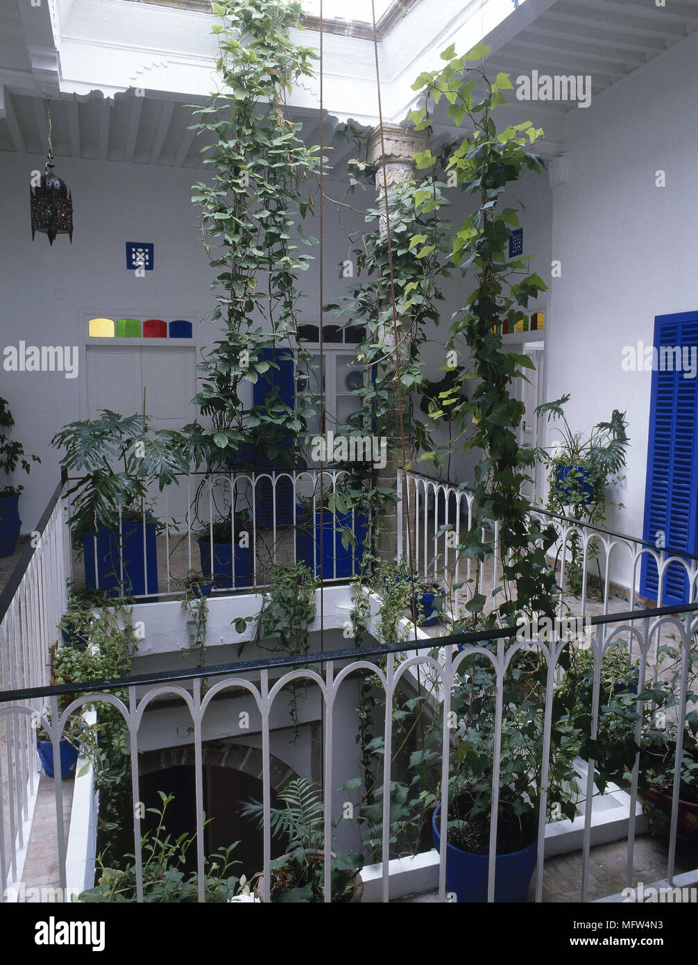 Hallway with railings and climbing plants in centre under skylight