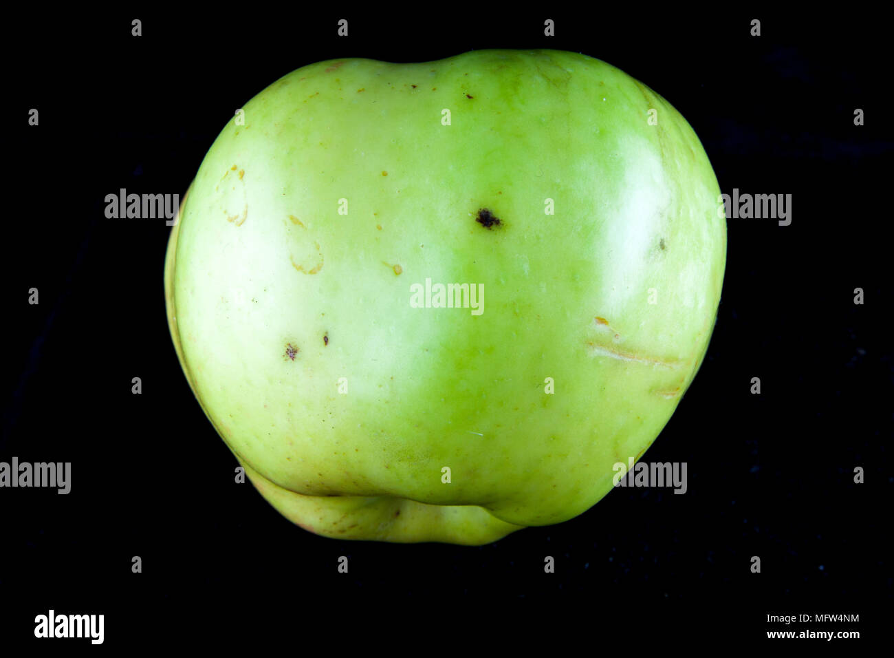 Old German Apple Cultivar "Luxemburger Renette" Stock Photo