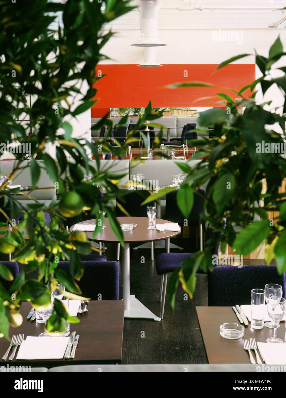 Interior of the Bush Bar and Grill Interiors bars restaurants modern