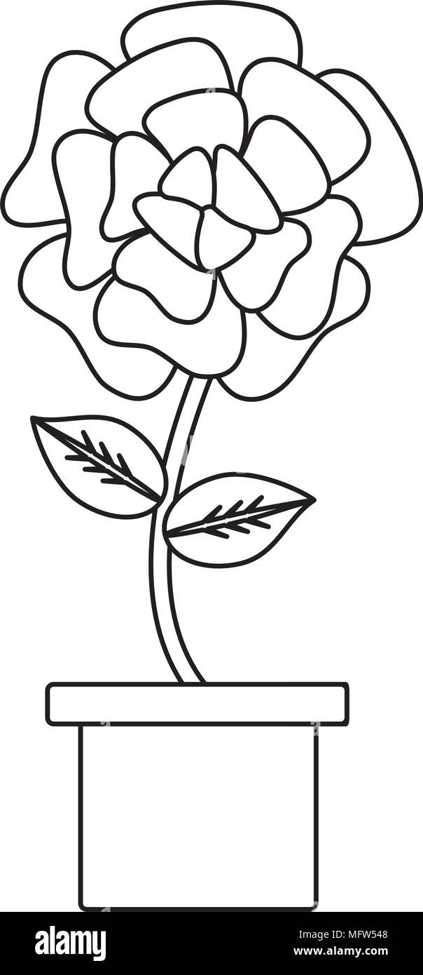Plant Pot White Background Black And White Stock Photos Images
